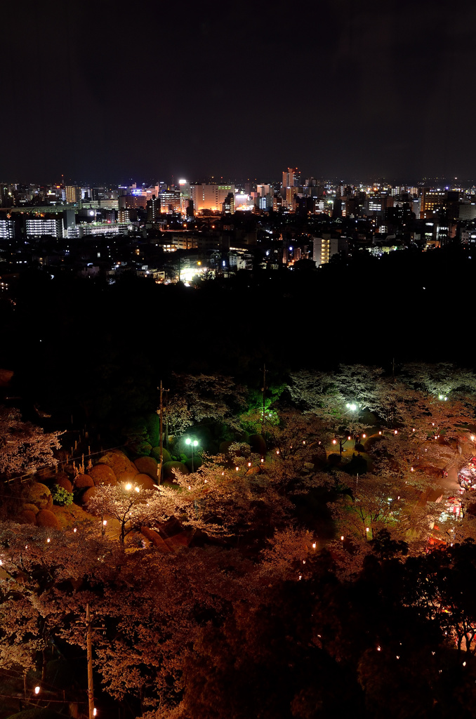 宇都宮タワー展望台より宇都宮市街夜景②