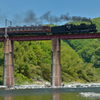 秩父鉄道・ＳＬパレオエクスプレス①