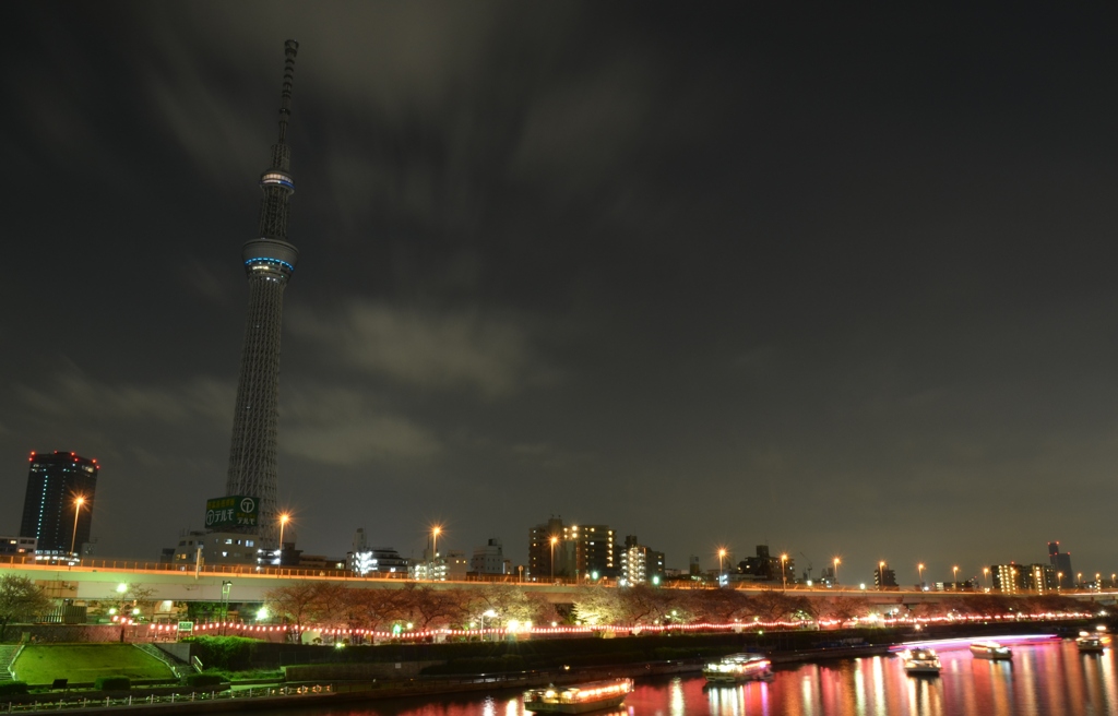 闇夜の「天樹」②