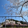 なつかしの学び舎　上岡小学校⑤大きな桜の木の下で