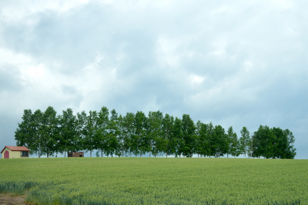 丘のある風景②