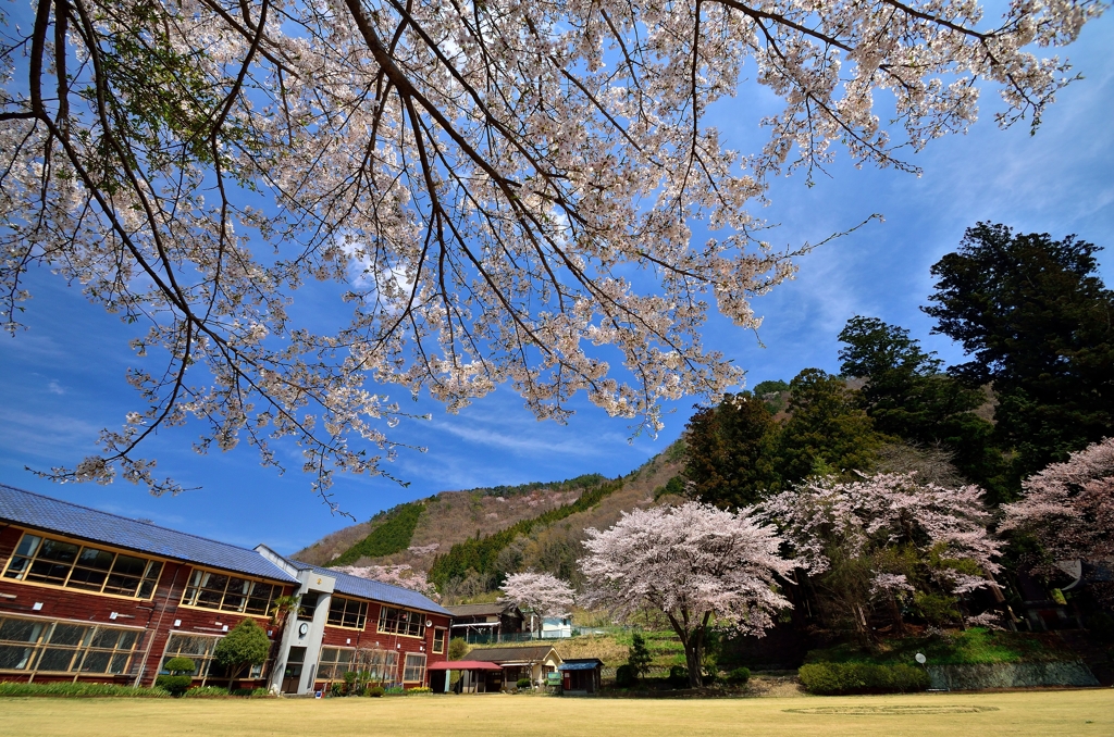 なつかしの学び舎　ここにありき　旧西金小学校④