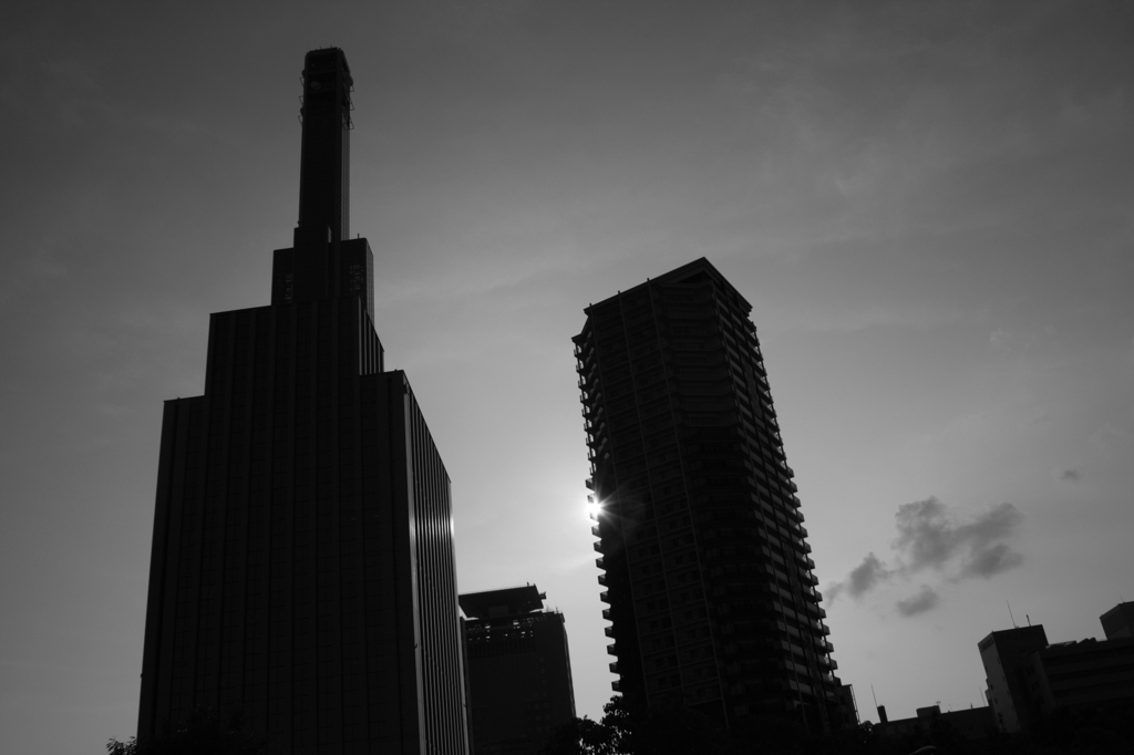 DSIM 00_mono3