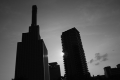 DSIM 00_mono3