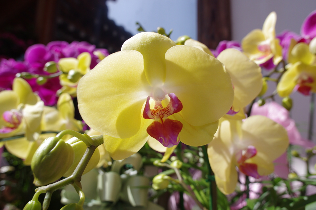 IMGP0828