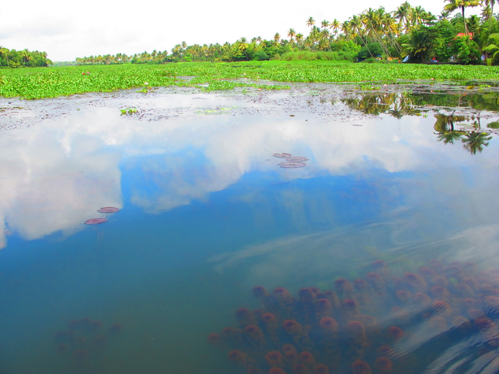 Alleppey Backwater