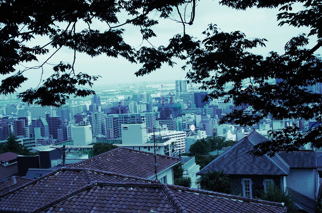 眺め
