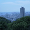 森と街