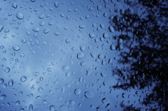 雨の日