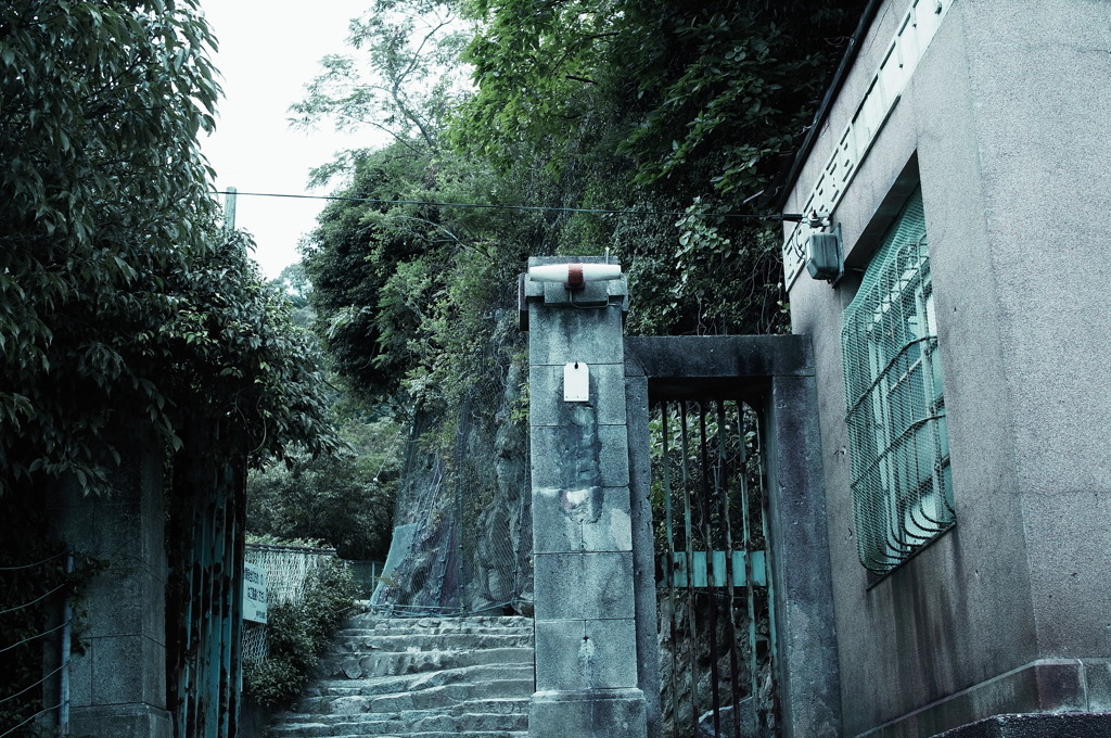 門