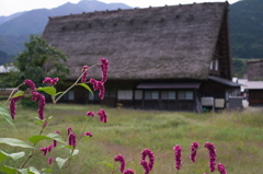 白川郷