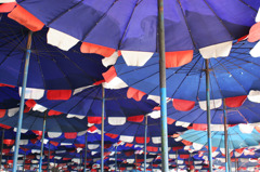 parasols