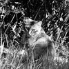 DSC01645
