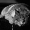 DSC06792