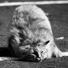 DSC04616