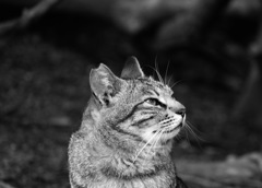 DSC01645