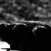 DSC04278