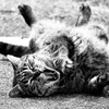 DSC01882