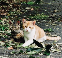 DSC01498