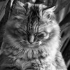 DSC02065