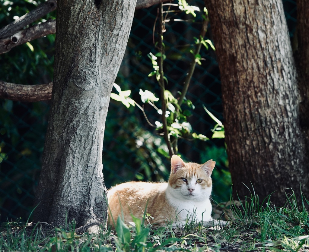 DSC02083