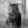 DSC03936
