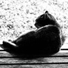 DSC04090