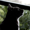 DSC03519
