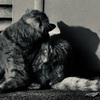DSC02220