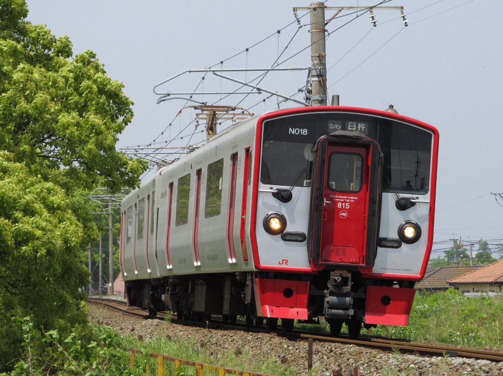 新緑を行く