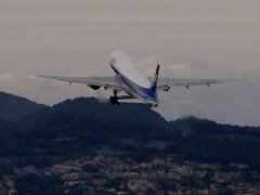 IMG_2753_5