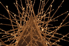 公園のイルミネーション