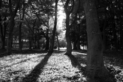 北海道神宮のはしっこ