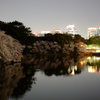 都会の夜桜