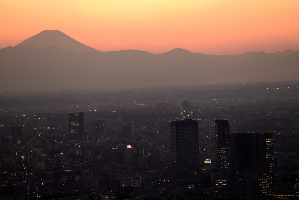 ヒルズから富士山