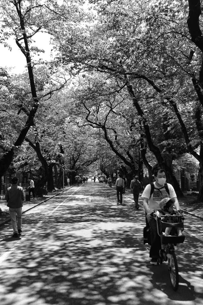 上野寛永寺近辺