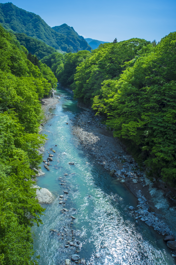 自然の風景