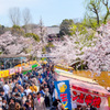 上野の春