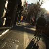 逆光と自転車