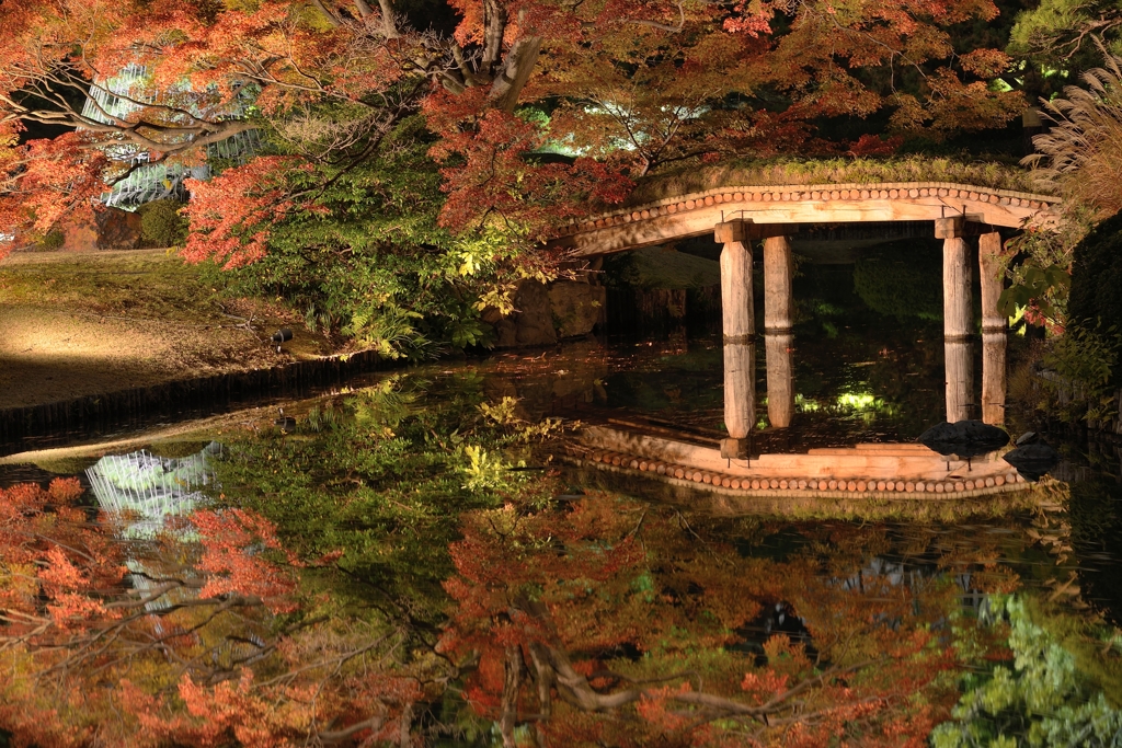 MOMIJI　REFLECTION