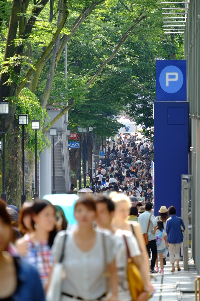 表参道、夏。