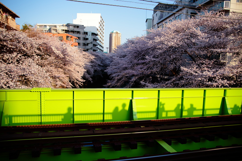 お花見する人たち