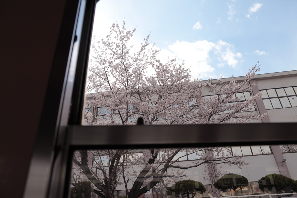 見慣れた窓の外に