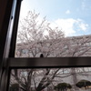 見慣れた窓の外に