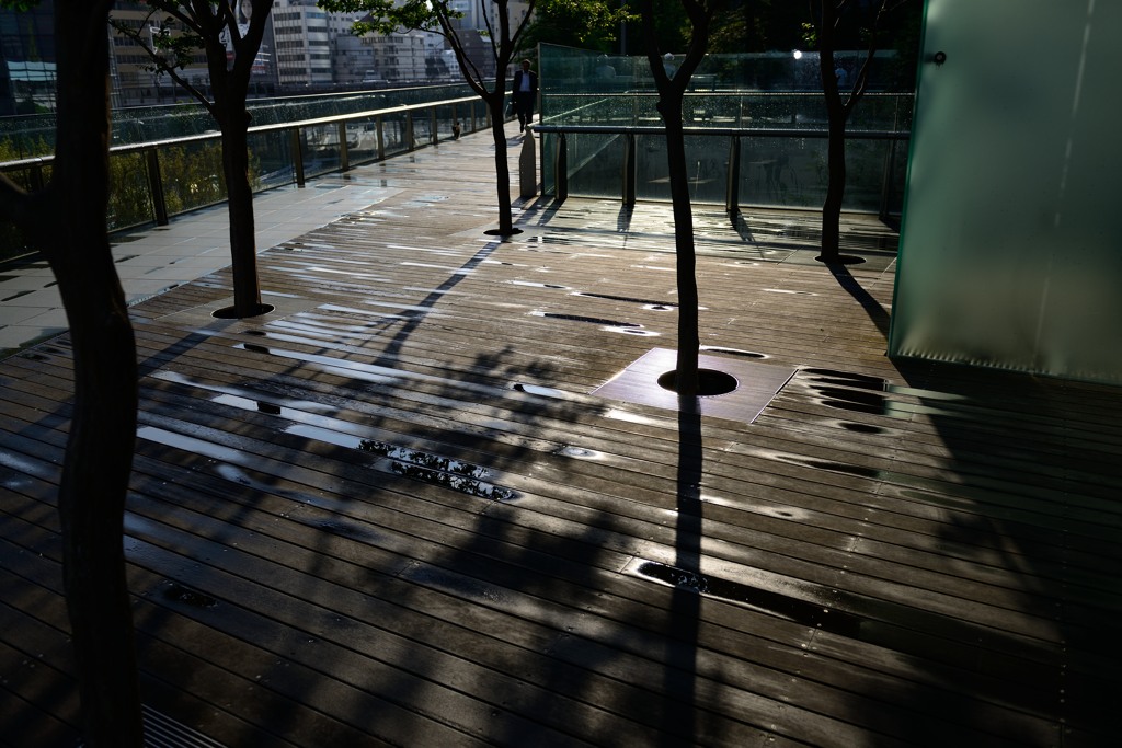 雨上がりのデッキ