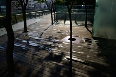 雨上がりのデッキ