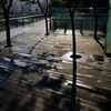 雨上がりのデッキ