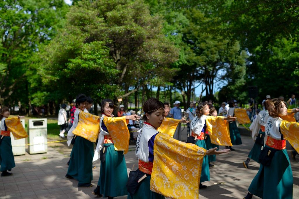 よさこい祭りin光が丘