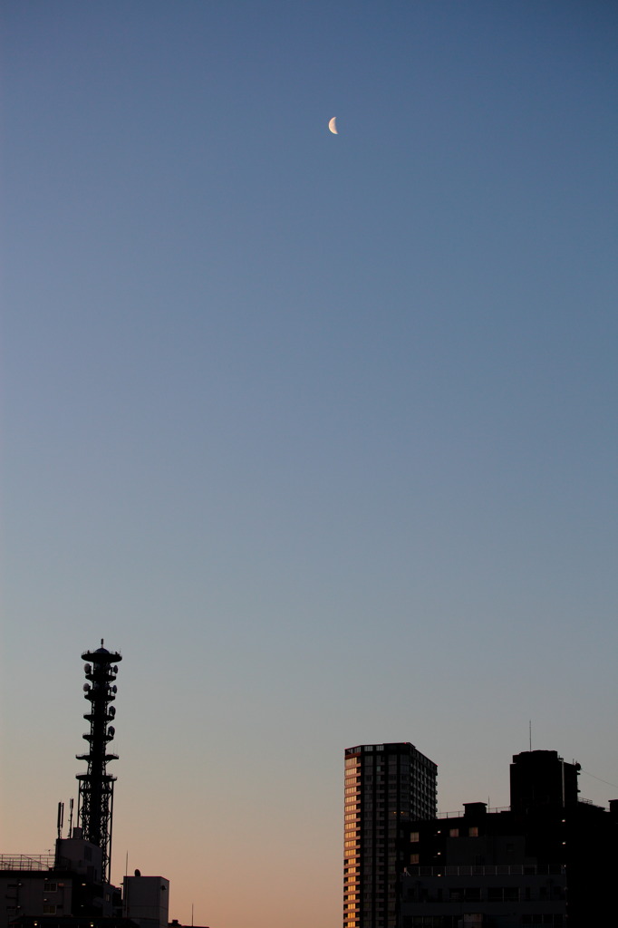朝の月