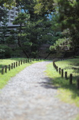夏の庭道